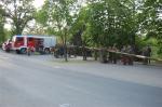 dsc_1166.jpg