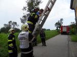 ff_bt_kiga_2012_10.jpg