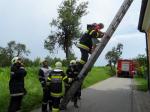 ff_bt_kiga_2012_13.jpg