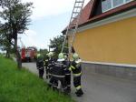 ff_bt_kiga_2012_17.jpg